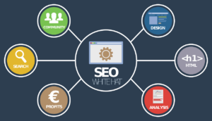SEO and Digital Marketing web